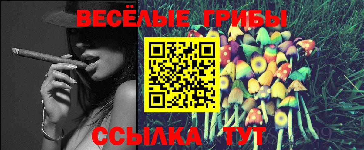 Балашов  где купить   Псилоцибиновые грибы Magic Shrooms  Вход с VPN  Галлюциногенные грибы ЛСД 