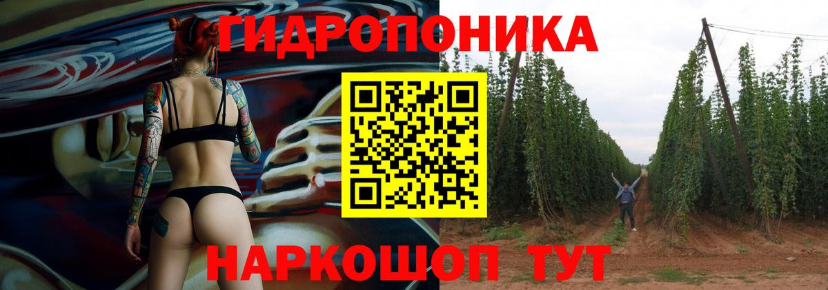 Балашов  МАРИХУАНА тримм  Вход с VPN  Шишки марихуана план 